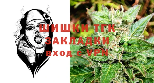 2c-b Инсар