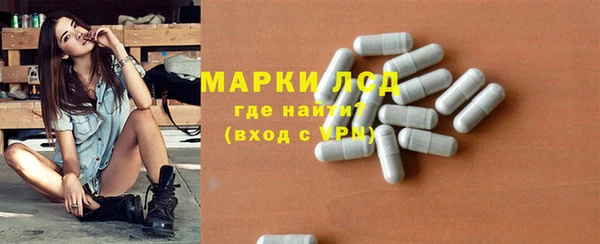 мяу мяу мука Инта