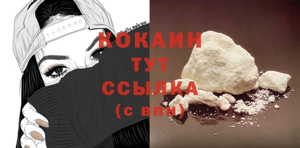 2c-b Инсар