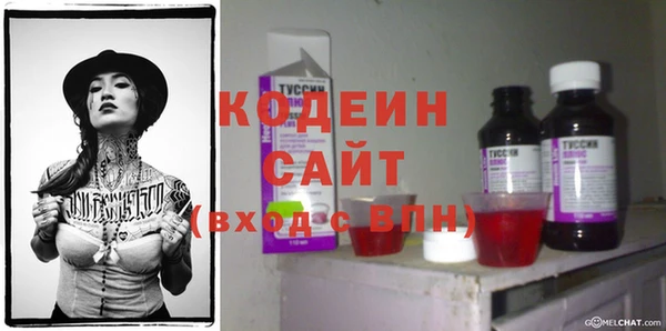 2c-b Инсар