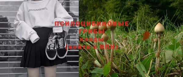2c-b Инсар