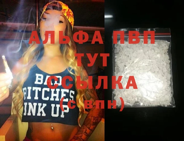 2c-b Инсар
