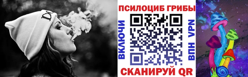 Галлюциногенные грибы Psilocybine cubensis  Купить  Новозыбков 