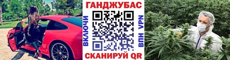 Купить закладки  Новозыбков  Канабис индика 